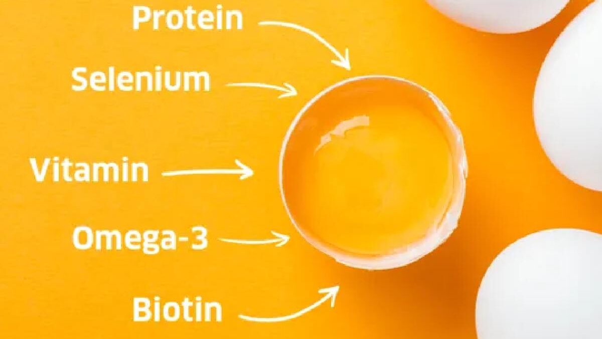 Eggs Nutrition – Explaining, Uses, Value, And More