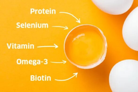 Eggs Nutrition