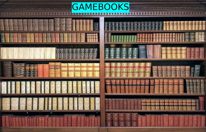  gamebook