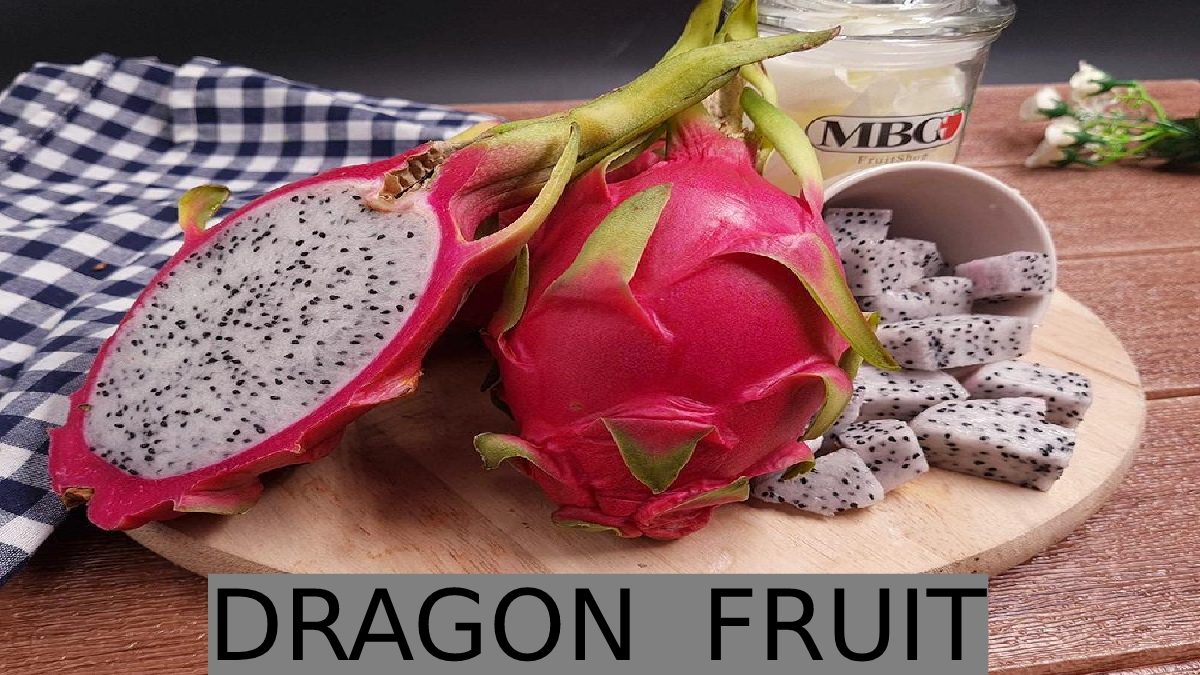 What Is Dragon Fruit? – Explanation, Significant, Benefits, and More