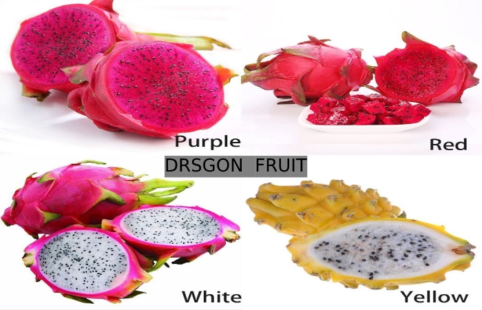  Dragon Fruit