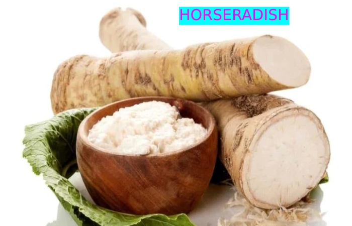 HORSRADISH