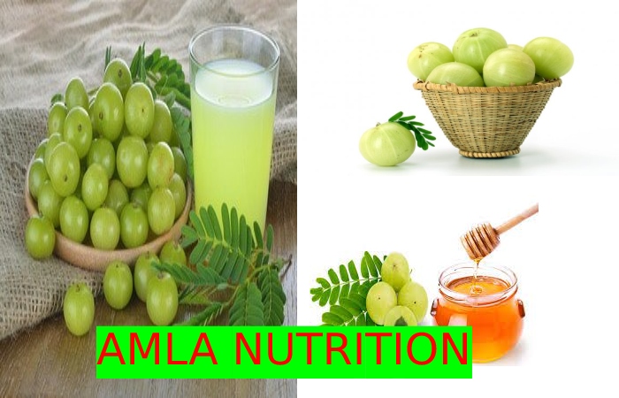 Amla Nutrition