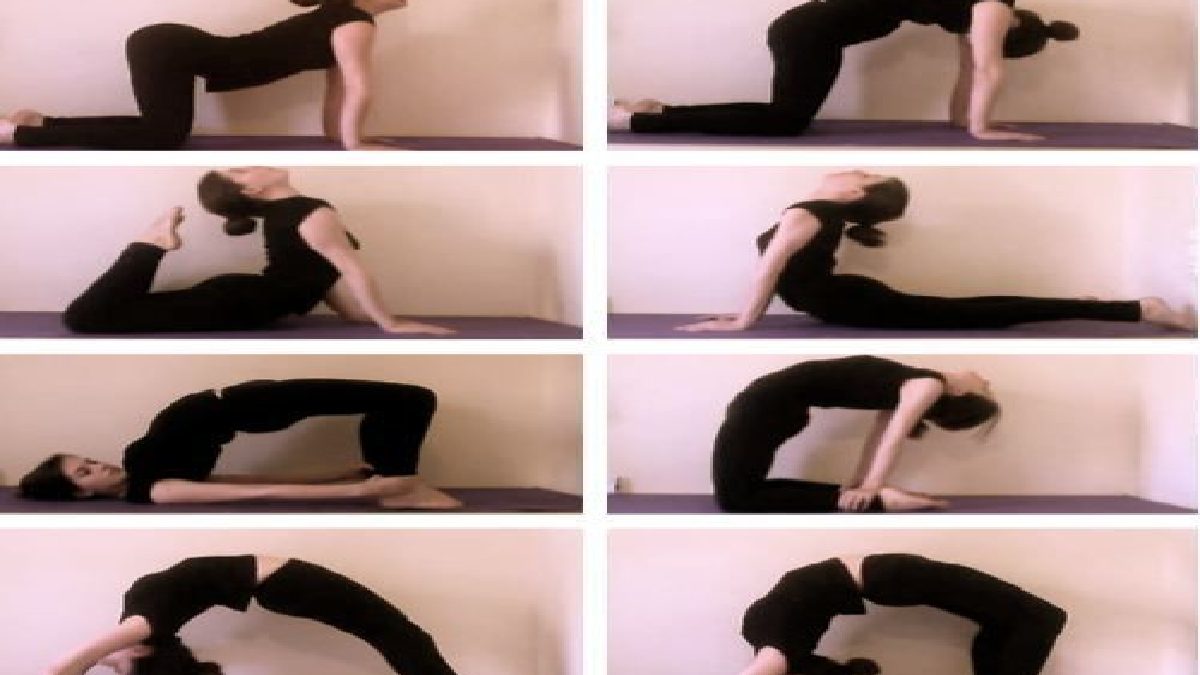 Flexibility Training – Introduction, Basics, Need, Benefits, And More
