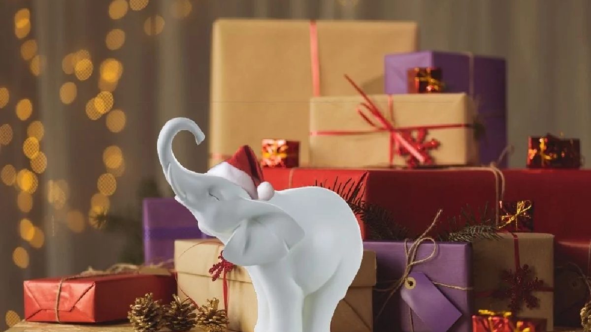 White Elephant Gift -Ideas, Types, Benefits, Lists, And More