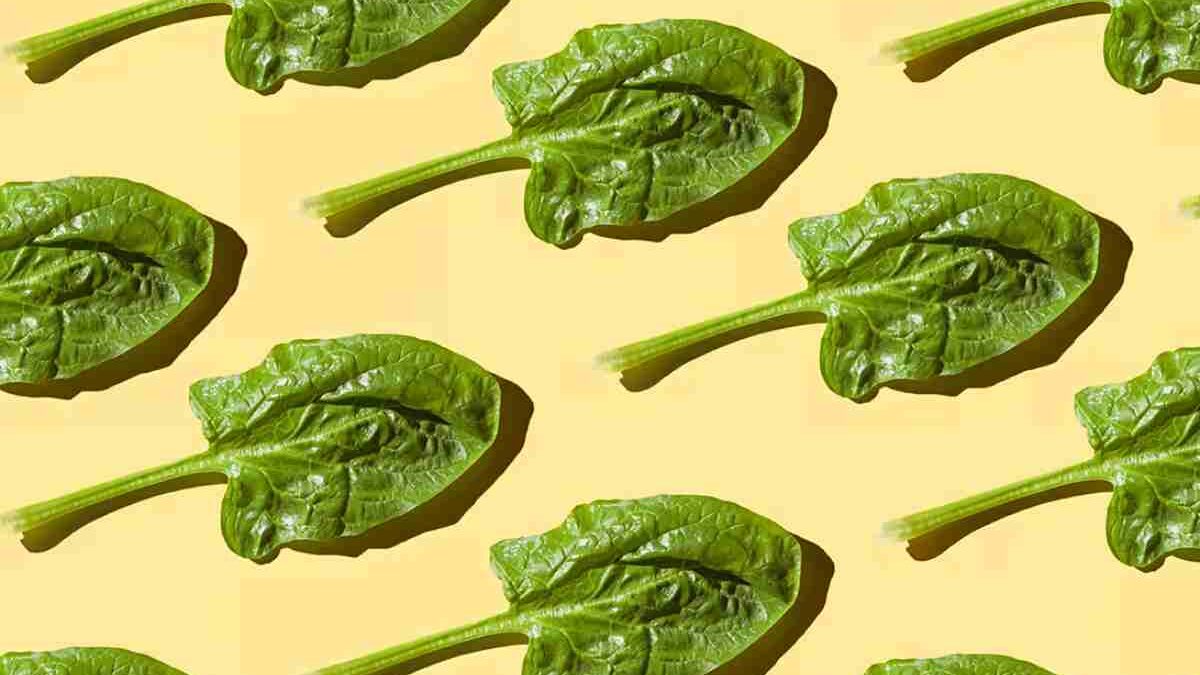 What is spinach? Definition, Benefits, Table, And More