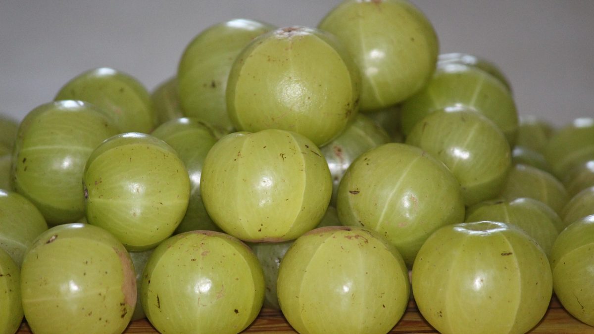 Amla Nutrition – Meaning, Benefits, Value, Uses, And More
