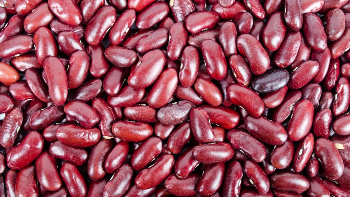 Kidney Beans Nutrition – Explanation, Facts and Benefits, And More