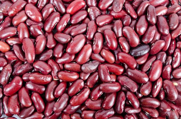 Kidney beans nutrition