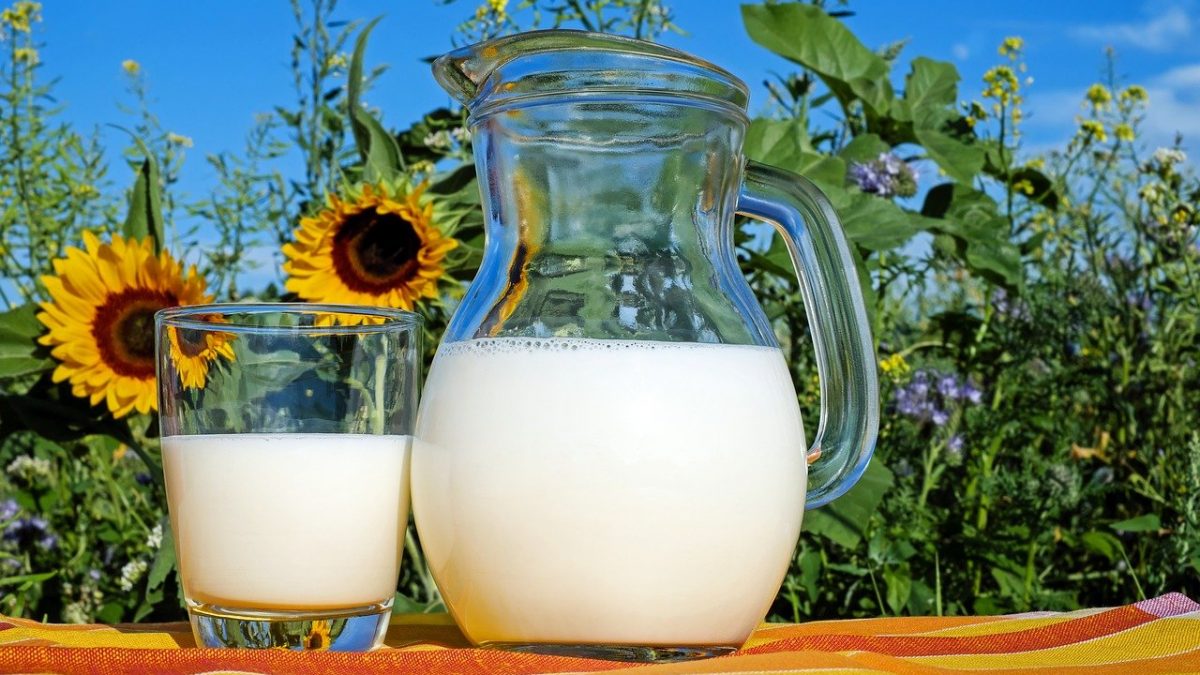 Milk Nutrition -Known, Facts, Types, And More