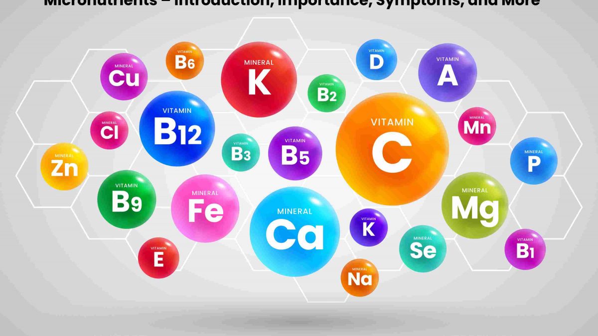 Micronutrients – Introduction, Importance, Symptoms, and More