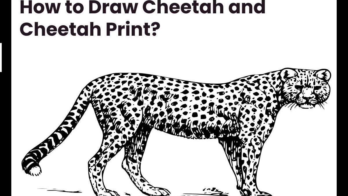 How to Draw Cheetah and Cheetah Print?