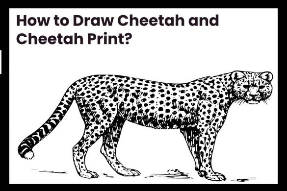 How to Draw Cheetah and Cheetah Print?
