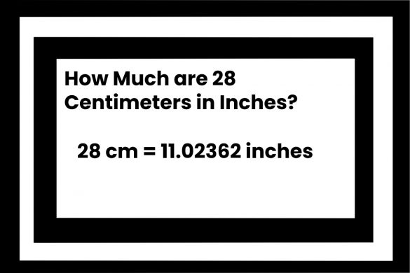 cm inches