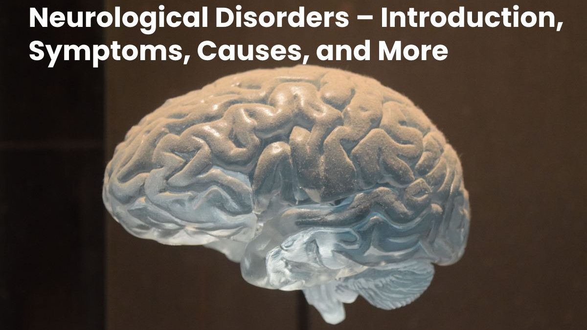 Neurological Disorders – Introduction, Symptoms, Causes, and More