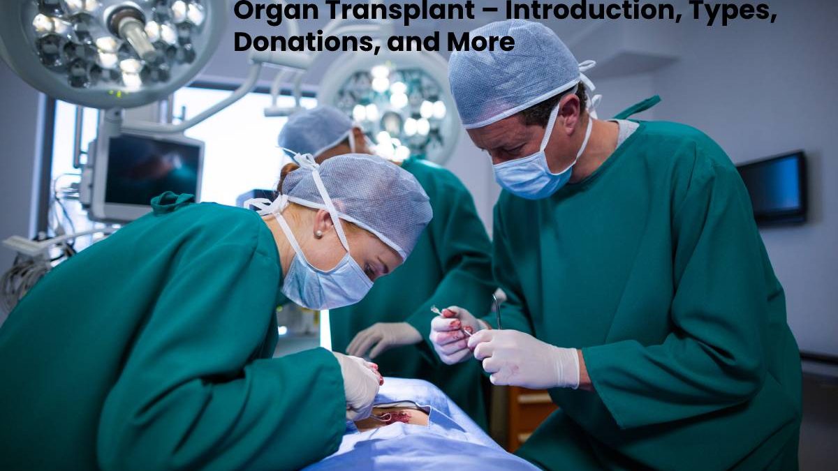 Organ Transplant – Introduction, Types, Donations, and More