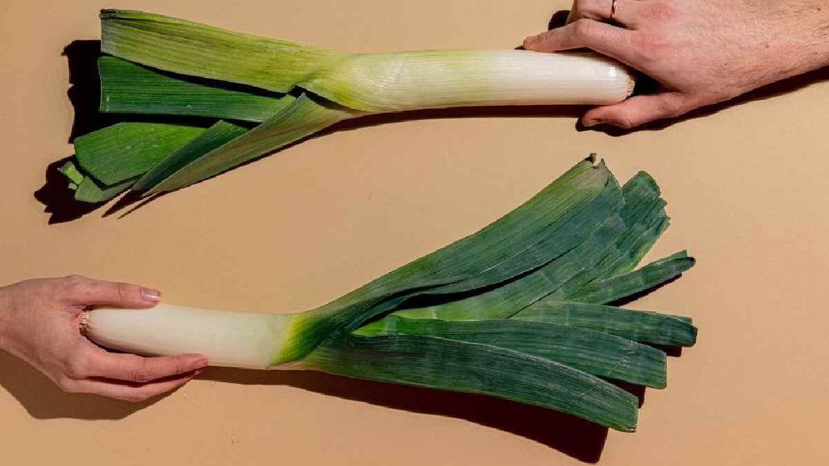 leek substitute
