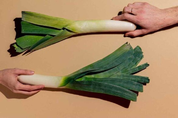 leek substitute