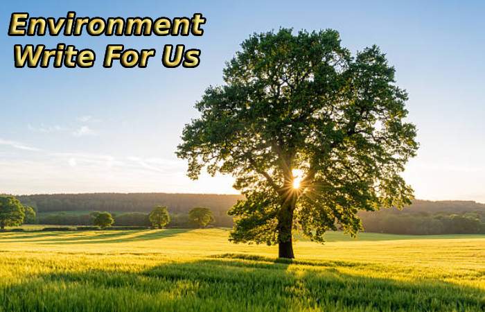 Environment Write For Us
