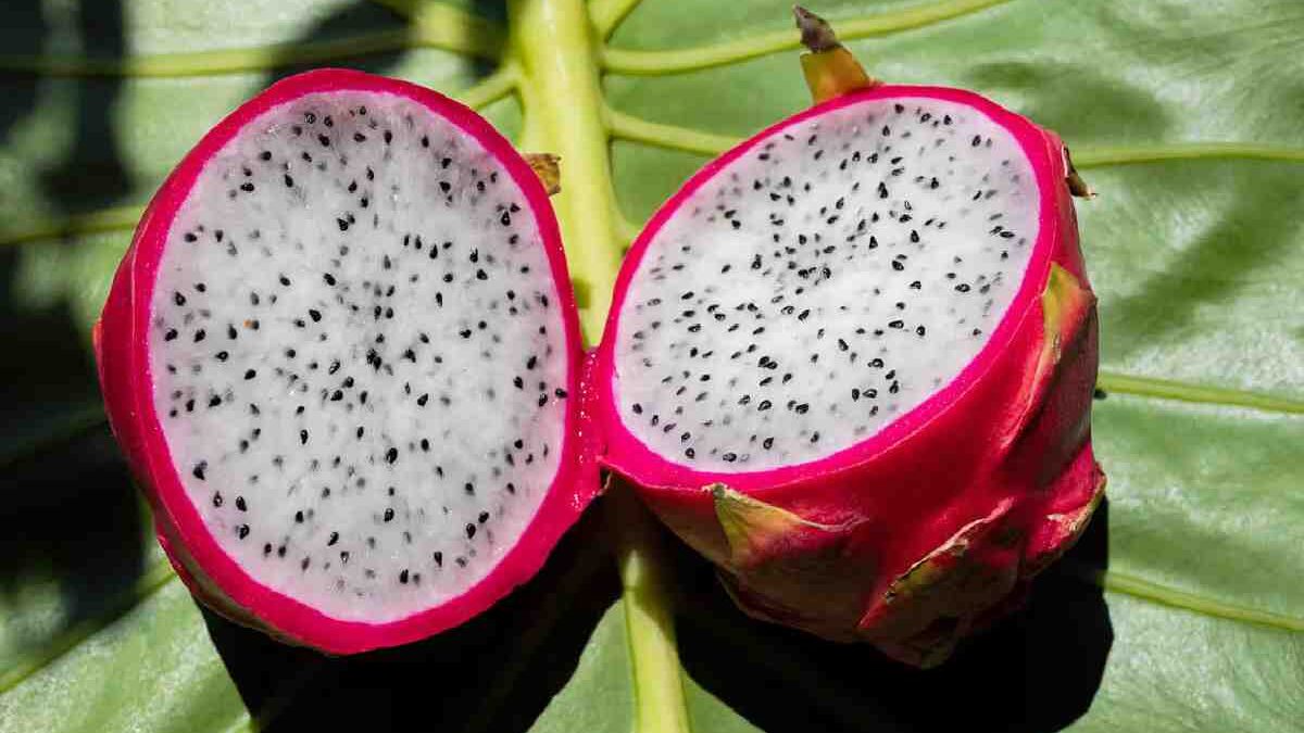 What is Dragon Fruit? – Benefits, and More -2023