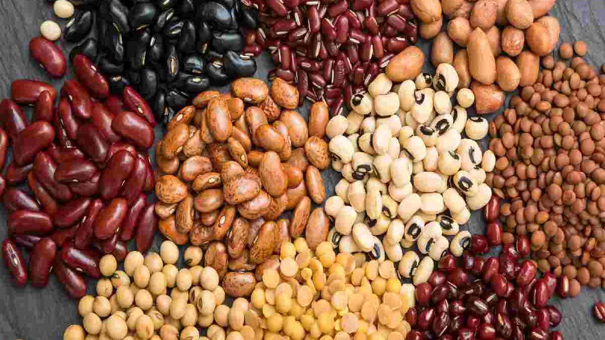 Kidney Beans Nutrition – Explanation, Facts and Benefits, And More