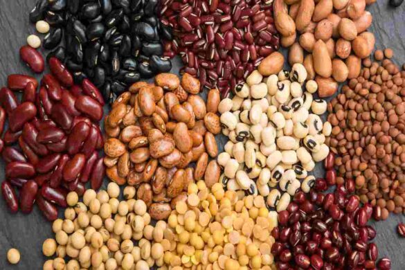 Kidney Beans Nutrition