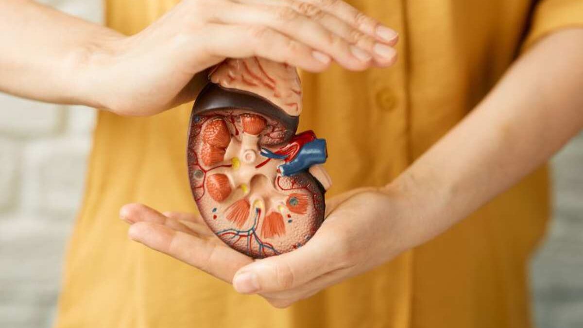 Post Transplant Care – Introduction, Importance,  Complication, and More