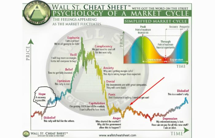 Phases of a Down Market Cycle